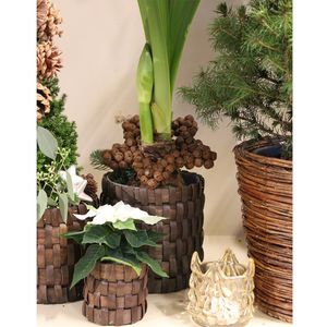 Hovedbilde Stj&auml;rna Med Bj&auml;llror (12) - Brown 28x4cm