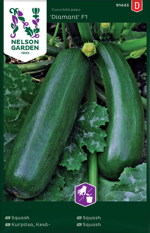 Squash 'Diamant' F1
