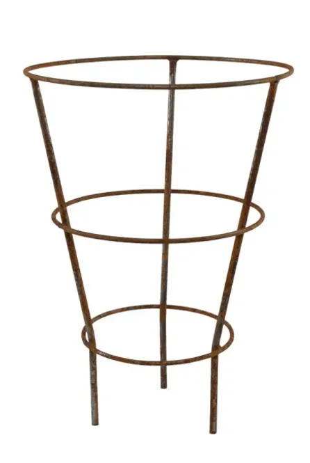 Hovedbilde Staude espalier rust D41 H58