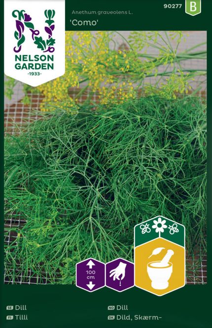 Hovedbilde Dill 'Como'