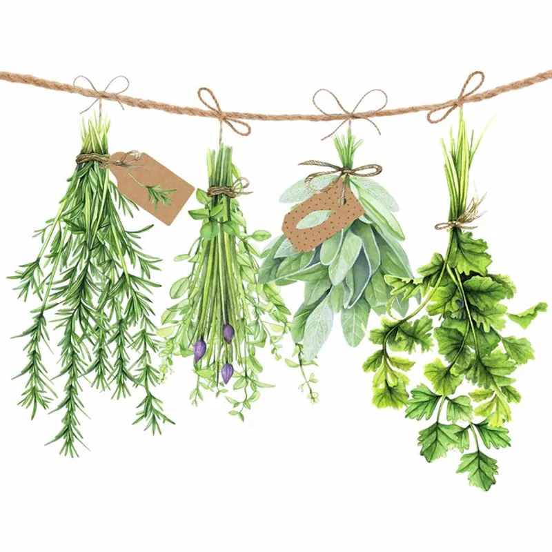 Serviett Fresh Herbs