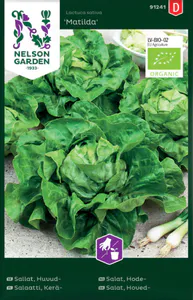 Hovedbilde Hodesalat 'Matilda'