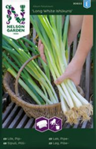 Hovedbilde L&oslash;k, Salat-,Long White Ishikura, Fr&oslash;b&aring;nd