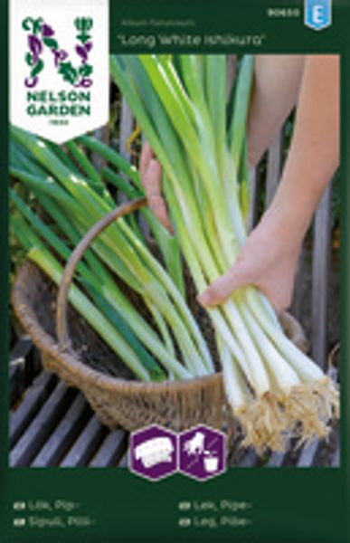 Løk, Salat-,Long White Ishikura, Frøbånd